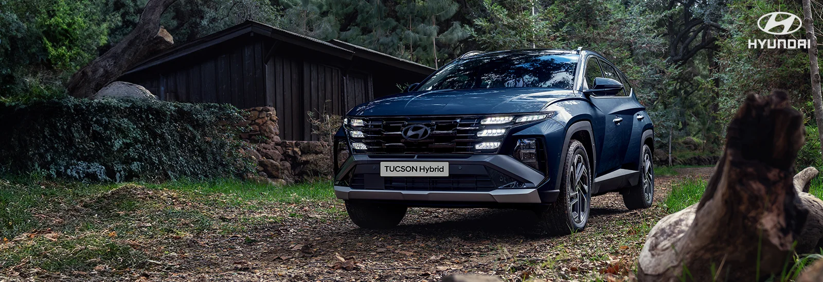 Rutas para manejar en México